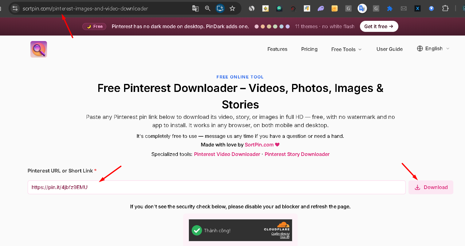 Pinterest URL and short link pasted into a downloader